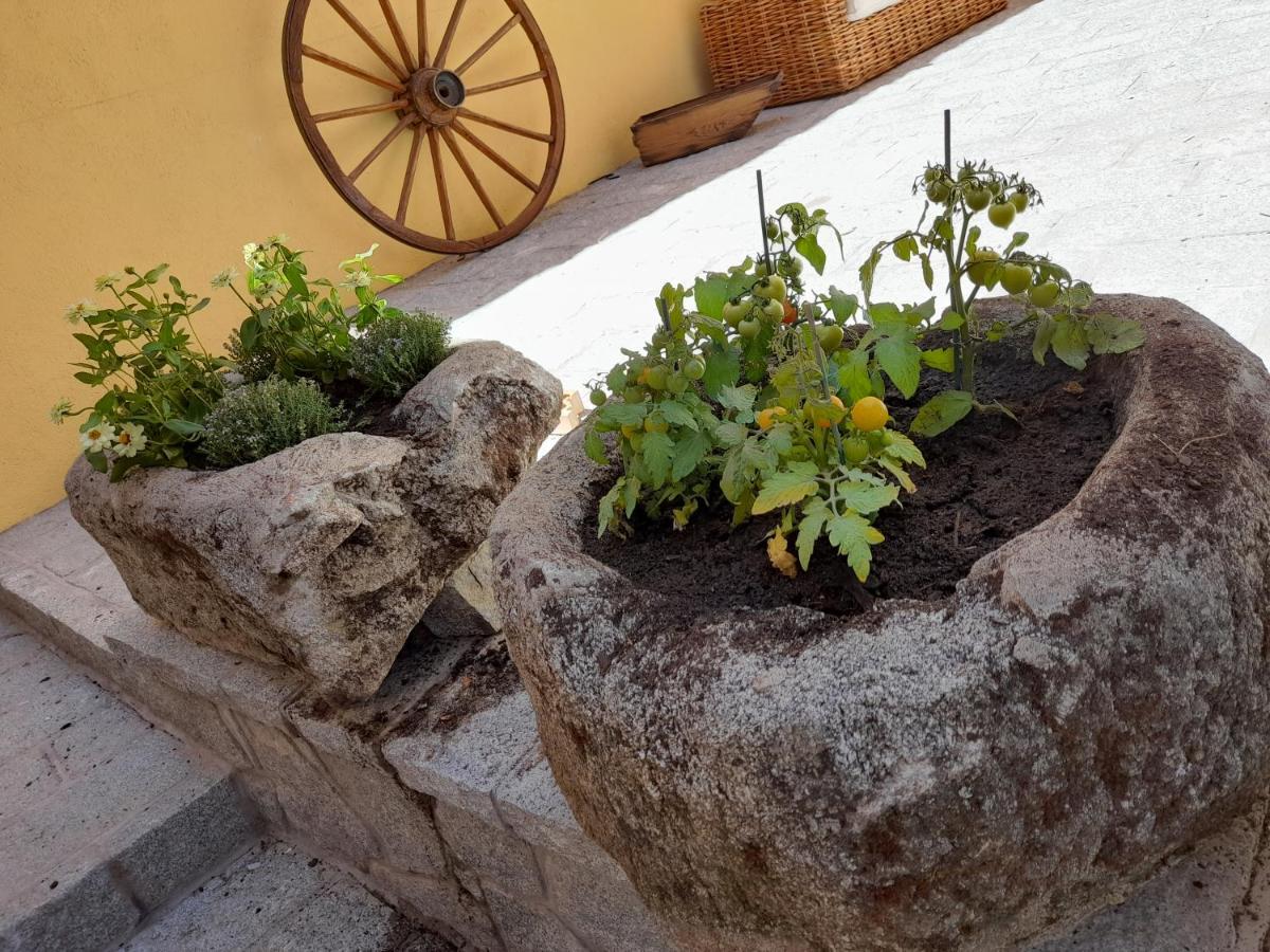 Casa Rural Del Tio Maino Becerril de la Sierra Kültér fotó